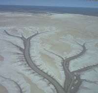Tidal Flats - Events Australia