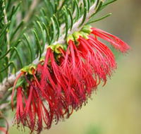 Ethel Daw Scenic Drive - Accommodation Europe