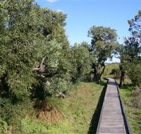 Kepwari Trails Wetland Wonderland - Events Australia