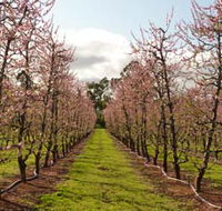 Raeburn Orchards - Events Australia