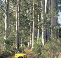 Mount Shadforth Scenic Drive - Accommodation Europe