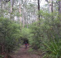 Margaret River Rails Trail - Events Australia