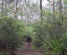 Margaret River Rails Trail - Accommodation Europe 0