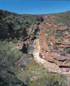 Ross Graham Lookout - Accommodation Europe 0