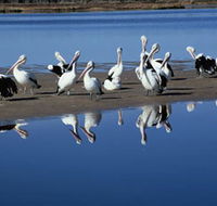Peel Region Canoe Trails - Events Australia
