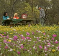 Gwambygine Park - Events Australia