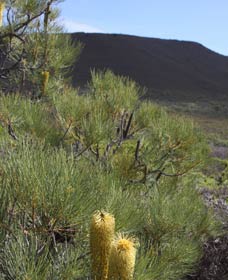 Accommodation Europe