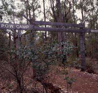 Marrinup Trail Dwellingup - Events Australia