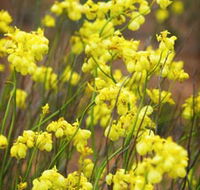 Mount Madden Scenic Drive - Accommodation Europe