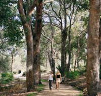 Law Trail and Lotterywest Federation Walkway Kings Park - Events Australia