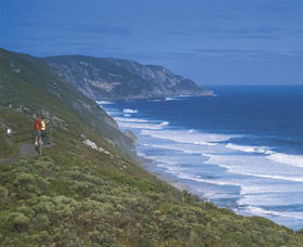 Willyung WA Tourism Bookings
