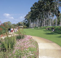 Kings Park Free Guided Walks - Events Australia