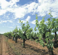 Blackwood Meadery - Accommodation Europe