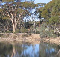 Merredin Railway Dam - Accommodation Europe