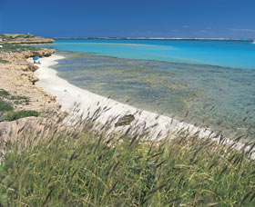 Paradise Beach - Events Australia 0
