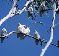 Carawine Gorge - Tourism Bookings
