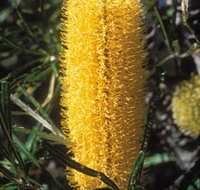 Moore River National Park - Events Australia