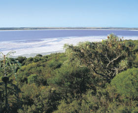 Pink Lake - Events Australia 0