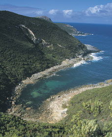 Jimmy Newells Harbour - Tourism Bookings 0
