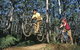 Leeuwin-Naturaliste National Park - Cowaramup - thumb 0