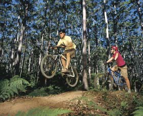 Leeuwin-Naturaliste National Park - Cowaramup - Accommodation Europe 0
