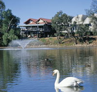 White Swans - Events Australia