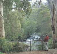 Cascades - Events Australia