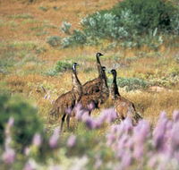 Jurabi Coastal Reserve - Events Australia