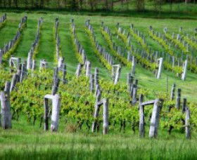 Sienna Estate Winery - Events Australia 0