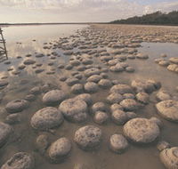 Yalgorup National Park - Events Australia