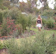 The Mythic Mazes - Accommodation Europe