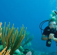 Coastal Water Dive - Events Australia