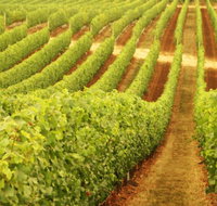 Cullen Wines - Events Australia