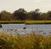 Anytime Adventures in Mandurah  the Peel Region - Events Australia