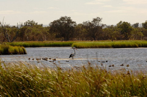 Anytime Adventures In Mandurah & The Peel Region - Tourism Bookings 0
