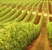 Happs Wines - Events Australia