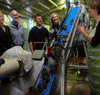 Eyre Peninsula's Seafood Trail - Events Australia