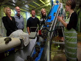 Eyre Peninsula's Seafood Trail - Events Australia 0