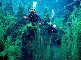 Ewens Ponds Conservation Park - Events Australia 0