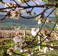 Cradle of Hills McLaren Vale Winery - Events Australia