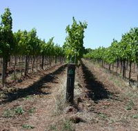 Temple Bruer Winery - Events Australia