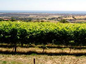  Events Australia