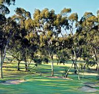 Tanunda Pines Golf Club - Events Australia