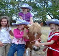 Amberainbow Pony Rides - Events Australia