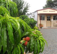 Gully Gardens - Events Australia