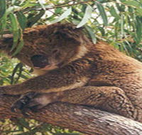 Mikkira Station - Events Australia