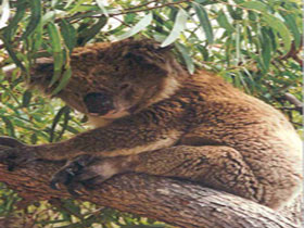 Mikkira Station - Events Australia 0