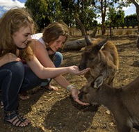 Kangaroo Island Wildlife Park - Events Australia