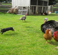 Echo Farm - Events Australia