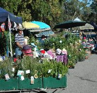Meadows Monthly Market - Events Australia